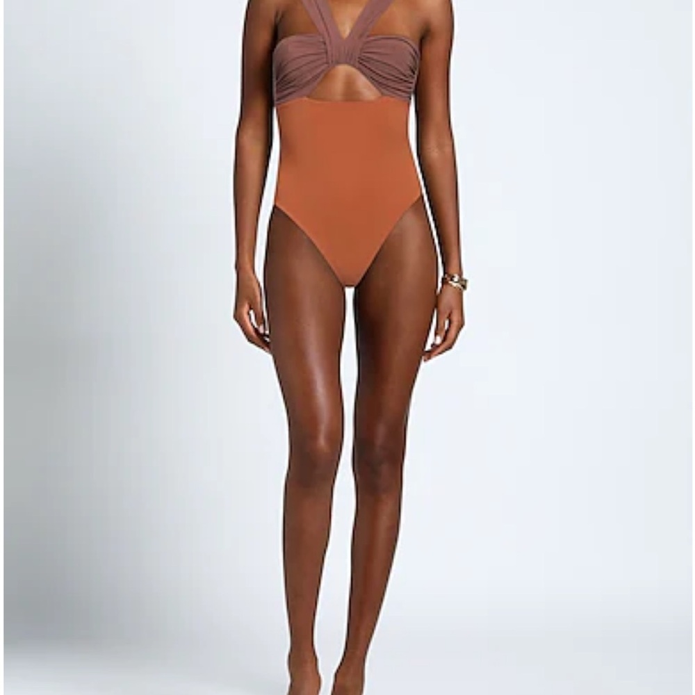 Nensi Dojaka one piece brown bathing suit